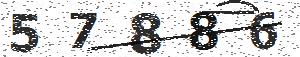 تصویر امنیتی