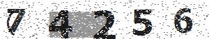 تصویر امنیتی