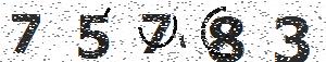 تصویر امنیتی